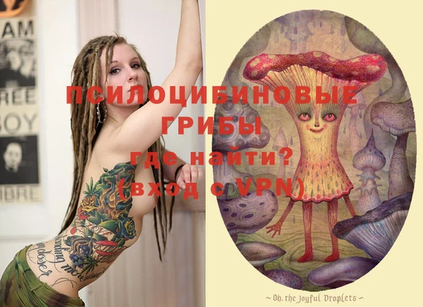 индика Абинск