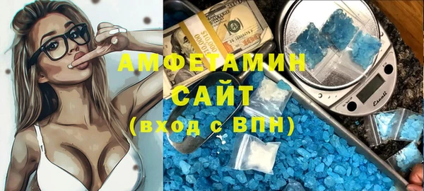 индика Абинск
