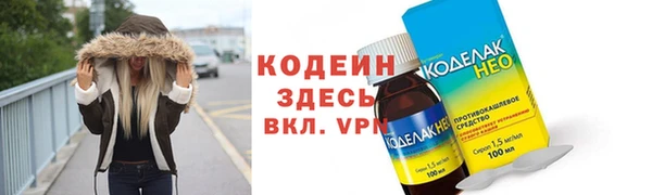 индика Абинск
