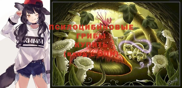 герыч Абаза
