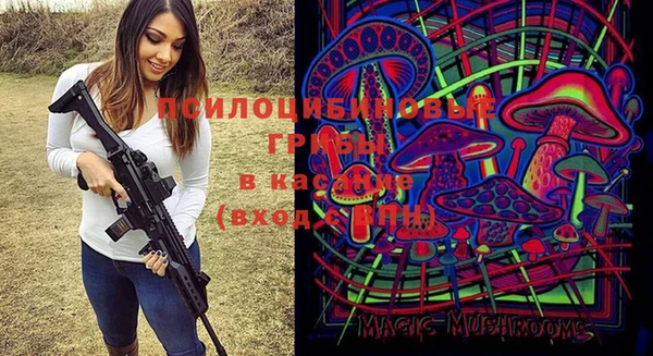 индика Абинск