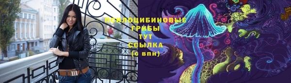 индика Абинск