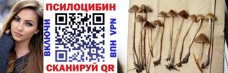 Псилоцибиновые грибы мухоморы  Красный Сулин 